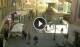 Sanremo 18.03.2025 11:13