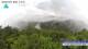 Zhangjiajie 09.05.2025 11:22