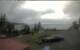 Walton 11.07.2025 11:08