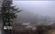 Halls Harbour 04.05.2025 11:14
