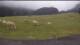 Cauterets 05.07.2025 11:13