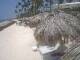 Punta Cana 11.07.2025 11:13