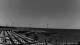 Andora 02.07.2025 11:13