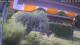 Bad Harzburg 14.07.2025 11:49