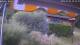 Bad Harzburg 03.07.2025 11:48