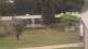 Cold Spring Harbor, New York 15.07.2025 11:34