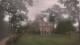 Richmond, Virginia 29.04.2025 11:34