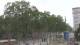 Barcellona 14.06.2025 11:14