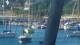 La Trinité-sur-Mer 02.07.2025 11:15