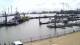 Delfzijl 12.07.2025 11:16