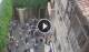 Verona 06.07.2025 11:16