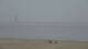 Scheveningen 29.04.2025 11:16