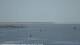 Oost-Vlieland 30.06.2025 11:16