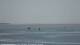 Oost-Vlieland 25.03.2025 11:16
