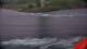 Saltstraumen 15.06.2025 11:12