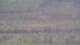 Les Landes-Genusson 15.06.2025 11:16