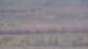 Les Landes-Genusson 09.06.2025 11:16