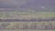 Les Landes-Genusson 08.05.2025 11:16