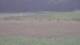 Les Landes-Genusson 15.06.2025 11:16