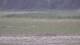 Les Landes-Genusson 17.03.2025 11:17