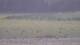 Les Landes-Genusson 11.05.2025 11:16