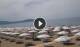 Paestum 12.07.2025 11:16