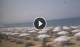 Paestum 14.06.2025 11:16
