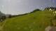 Sonnleitn 15.06.2025 11:04