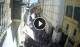 La Valette 17.05.2025 11:17