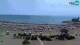 Caorle 05.07.2025 11:17