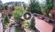 Gatlinburg, Tennessee 14.06.2025 11:17