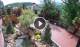 Gatlinburg, Tennessee 29.04.2025 11:18
