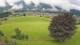 Abtenau 11.07.2025 11:17