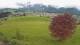 Abtenau 22.04.2025 11:17
