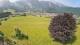 Abtenau 08.06.2025 11:17