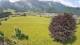 Abtenau 09.06.2025 11:17