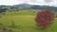 Abtenau 23.03.2025 11:17