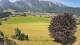 Abtenau 14.06.2025 11:17