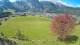 Abtenau 29.04.2025 11:17