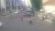 Vilnius 05.07.2025 11:18
