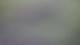 Tallinn 09.07.2025 11:18