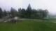 Cordon 08.05.2025 11:18