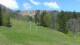 Cordon 29.04.2025 11:19