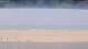 Henne Strand 03.06.2025 11:15