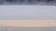 Henne Strand 22.05.2025 11:15