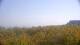 Zuydcoote 30.04.2025 11:19