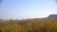 Zuydcoote 30.04.2025 11:19