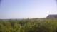 Zuydcoote 03.07.2025 11:19