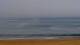 Anglet 29.04.2025 11:19