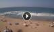 Ballito 09.05.2025 11:19